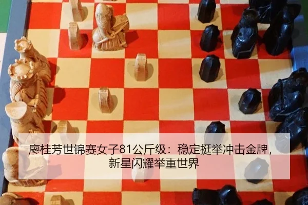 liao-gui-fang-shi-jin-sai-nv-zi-gong-jin-ji-wen-ding-ting-ju-chong-ji-jin-pai-xin-xing-shan-yao-ju-zhong-shi-jie-2-922.jpg