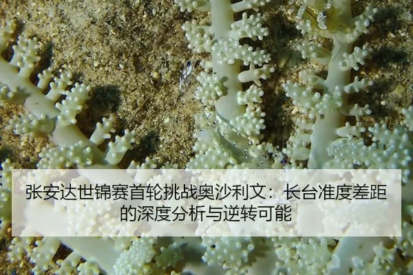 张安达世锦赛首轮挑战奥沙利文：长台准度差距的深度分析与逆转可能